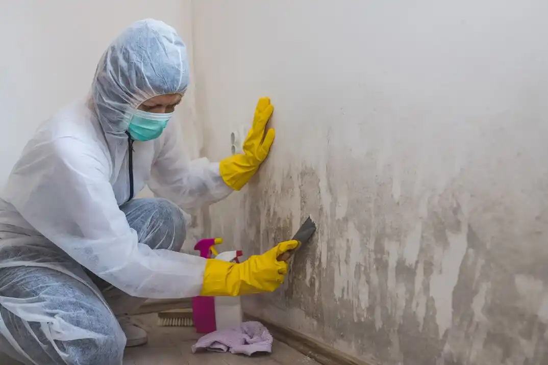 water damage restoration service East Parkside
